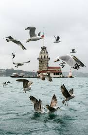 Kiz Kulesi 2020 Istanbul Seyahat Tutkusu Resimler