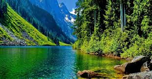 Follow the vibe and change your wallpaper every day! 14 Landscape Windows 10 Wallpaper Hd 1920x1080 Nature Basty Wallpaper