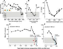 Tests Of Color Vision In Mice A Wavelength Discrimination The Download Scientific Diagram