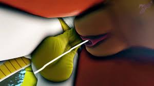 Misty meets Charizard BACN - Sultry pics on JoyReactor