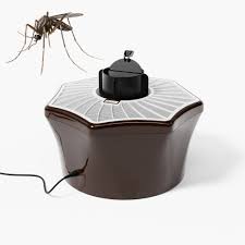 BG-Mosquitaire
