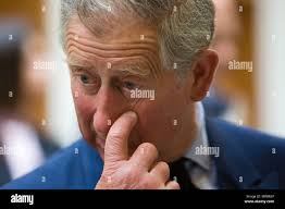 Prince of wales charles portrait hi-res stock photography and images