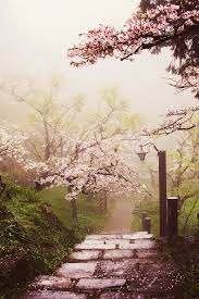 Pin By Straw Chicago On Girly Eye Candy Landscape Scenery Beautiful Nature