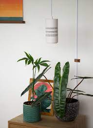 Not to mention, the cool modern/boho vibe you'll be giving that planty corner of yours. Pendant Grow Light White Rousseau Plant Care
