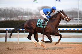 The kentucky derby will take place on may 1, 2021 but you can already see which horses may qualify to run and bet on them now in this american classic horse race. Enticed 2021 Kentucky Derby Oaks April 30 And May 1 2021