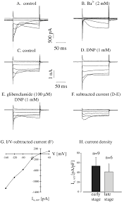 Spokes use p2p tunnels and route all traffic across the hub. Perforated Patch Clamp Recordings In The Voltage Clamp Mode From Es Download Scientific Diagram