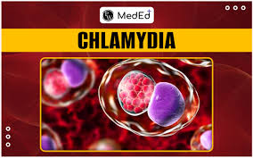Image result for chlamydia symptoms
