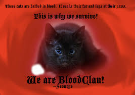 He has a purple collar studded with teeth from dogs and cats, and claws reinforced with dogs' teeth. Quotes About Scourge 78 Quotes