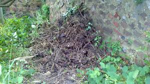 Maybe you would like to learn more about one of these? How To Fix Slimy Compost And Stop It From Turning To Sludge Dengarden