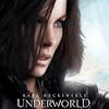 See more of underworld rise of the lycans film on facebook. 1