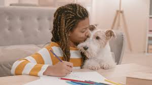 We did not find results for: Pprldtk9qh99om