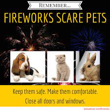 Fireworks can terrify pets. Firework times are when most pets bolt from  fear and are lost. Don't take them with you. Leave them in the home with  windows and doors closed where