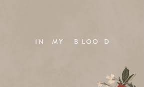 Shawn mendes' secret battle with anxiety inspired new song 'in my blood': Shawn Mendes Releases New Song In My Blood After Teasing Fans