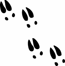 Deer Tracks Vinyl Decal Deer Track Tattoo Deer Skull Tattoos Deer Tracks