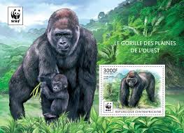 Post Stamp Central African Republic Ca 15225 B Wwf Western Lowland Gorilla Gorilla Gorilla Gorilla Souvenir Sheet Perf Gorilla Western Lowland Gorilla Wwf