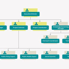 What does coe stand for? Diagram Organizational Structure Of Coe At The End Of 12 Months Note Download Scientific Diagram