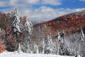 Check spelling or type a new query. West Virginia Beauties Blue Ridge Country