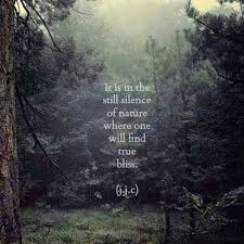 Pin On Inspirational Quotes