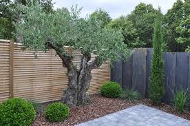 Travaux De Creation De Jardin Dans Le 56 Guillemin Paysagiste Amenagement Jardin Cloture Jardin Contemporain Jardins