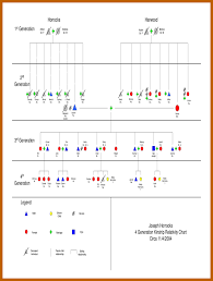 19 best sample of kinship diagram design ideas wiring