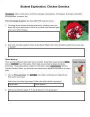 Periodic trends worksheet answer key. Gizmos Chicken Genetics Lab Pdf Ariel Zenati Name Date Student Exploration Chicken Genetics Vocabulary Allele Codominance Dominant Genotype Course Hero