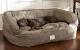 Dog Beds