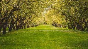 greenery full hd hdtv fhd 1080p wallpapers hd desktop backgrounds 1920x1080 images and pictures greenery full hd hdtv fhd 1080p