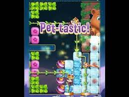 Filling the forms involves giving instructions to your assignment. Saga Level Help Pet Rescue Puzzle