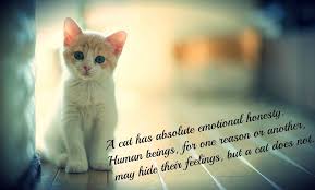 Want to celebrate your friends? Quotes About Cat Love 66 Quotes