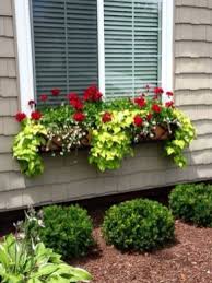 Window box planter ideas that will make an adorable addition to any home. 100 Window Box Design Tips And Popular Ideas Engineering Basic Window Box Plants Window Box Flowers Planting Flowers