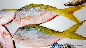 Memancing ikan parang ii | tiba di spot langsung di kagetkan oleh hantaman ikan. Every Foodie S Must Have Guide To 10 Common Local Fish The Burning Kitchen