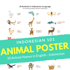 Below you can find a complete list of indonesian island animals. Poster Bahasaindonesia Animal Binatang Vocabulary Posters Indonesian Language Vocabulary