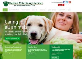 Your austin neighborhood has the best veterinarian near you. 100 Veterinarian Website Designs For Inspiration