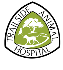 2200 chapel plaza court columbia, mo 65203. Trailside Animal Hospital Home