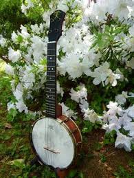 Living room designs uke republic. 110 Sounds Ideas Ukulele Music Ukelele Ukulele