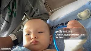 2,740 Gaustad Stock Photos, High-Res Pictures, and Images