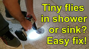 Fortunately, there are some simple methods you can use to get rid of the drain flies in your home. How To Get Rid Of Drain Flies In Shower Kitchen Or Bathroom Youtube