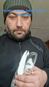 Videoclipuri postate de TEAM MOCANU P & MANU I 😎😎😎 (@mocanu.petrica86)  cu The Chicken Song (Tchip Tchip)