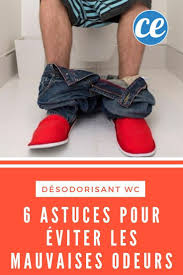 6 Astuces Pour Eliminer Les Mauvaises Odeurs Apres La Grosse Commission Mauvaise Odeur Odeur Desodorisant Maison