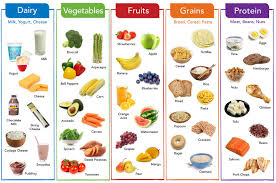 Five Food Groups Balanced Meals Healthy Eating