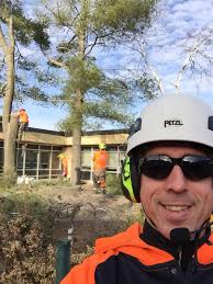 Profile for Arbor-Ops Tree Service