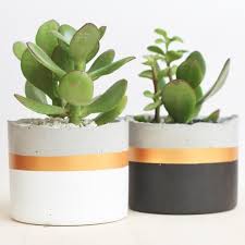 Concrete Planter Cylinder Succulents Pots Cement Plant Pot Cactus Decor Jardineras De Concreto Macetas Suculentas Macetas De Concreto