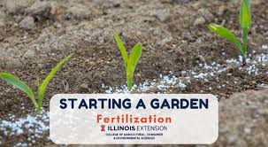 Crisp and tender sweet corn how to grow sweet corn in home gardens. Starting A Garden Fertilization University Of Illinois Extension