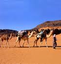 Check spelling or type a new query. ØºÙ†Ø§ÙˆÙ‰ Ø¹Ø§Ù„Ø¹ÙŠÙ† Ø§Ø¯Ø®Ù„ ÙˆØ²ÙŠØ¯ Ù…Ù† Ø¹Ù†Ø¯Ùƒ