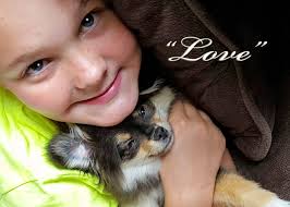 Faith Funeral Service