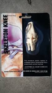 Us 6 99 Mini Female Anatomy Human Knee Joint Model Skeleton Throat Anatomical Anatomy Skull Sculpture Head Model Muscle Bone Artist In Medical
