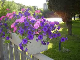 It hangs on your wooden railing with a hidden cleat, so there's no ugly hardware in sigh. 65 Beautiful Flower Box Ideas Pictures Designing Idea