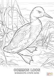 Minnesota State Bird Coloring Page Jpg 1020 1440 Bird Coloring Pages Coloring Pages Super Coloring Pages