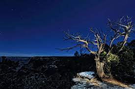 Photographing The Night Sky From Nikon