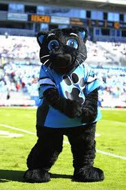 The carolina panthers are a professional american football team based in charlotte, north carolina. A Definitive Ranking Of Nfl Mascots Carolina Panthers Wallpaper Carolina Panthers Panthers